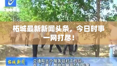 柘城最新新闻头条,今日时事一网打尽!