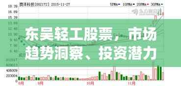 东吴轻工股票，市场趋势洞察、投资潜力及风险评估揭秘