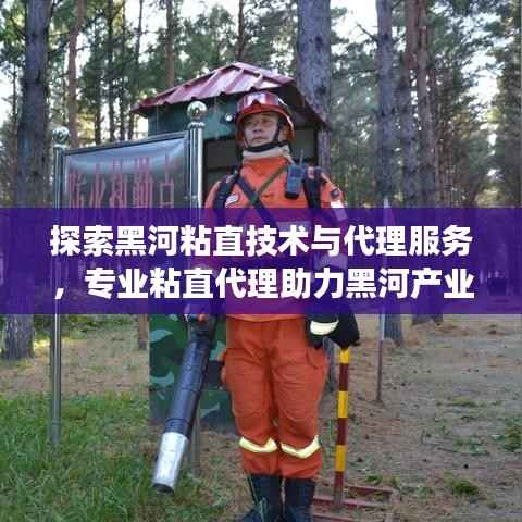 探索黑河粘直技术与代理服务,专业粘直代理助力黑河产业发展。