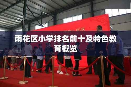 雨花区小学排名前十及特色教育概览