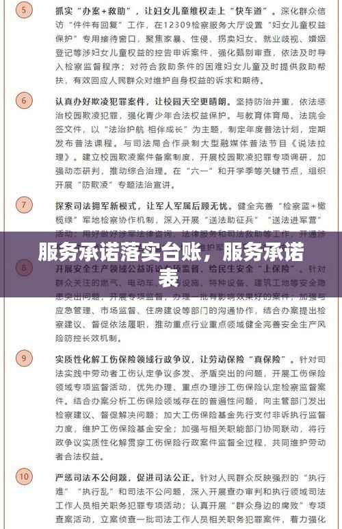 服务承诺落实台账,服务承诺表