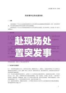 赴现场处置突发事故，现场突发事件应急预案范文 