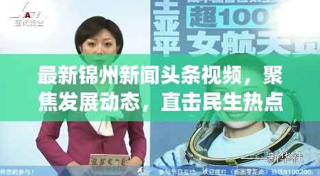 最新锦州新闻头条视频,聚焦发展动态,直击民生热点(18号独家报道)