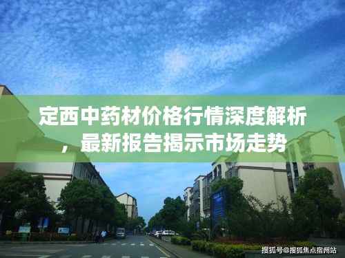 定西中药材价格行情深度解析,最新报告揭示市场走势